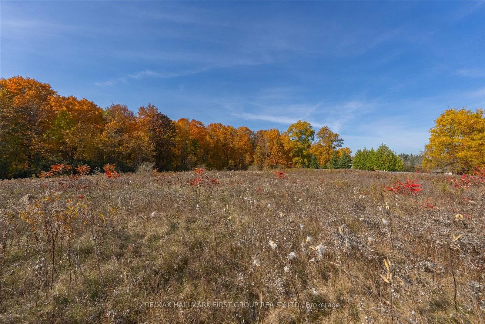 Photo 17 of 3450 Audley Road, Pickering, Rural Pickering — HOMEH