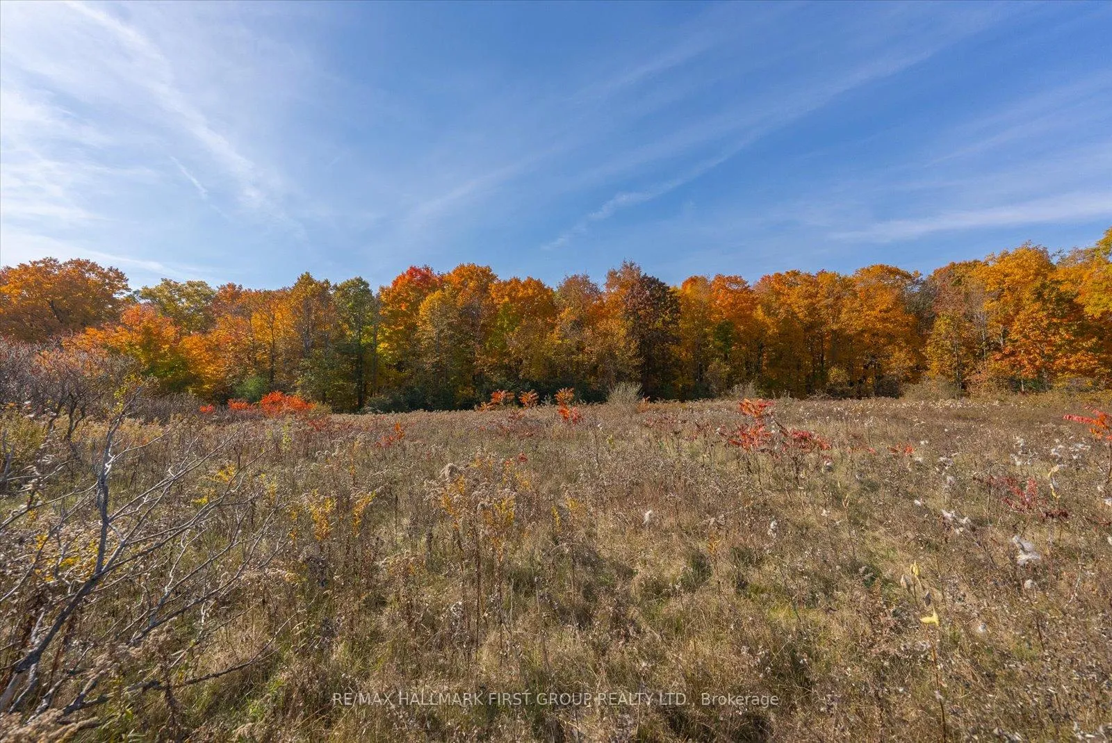 Photo 18 of 3450 Audley Road, Pickering, Rural Pickering — HOMEH