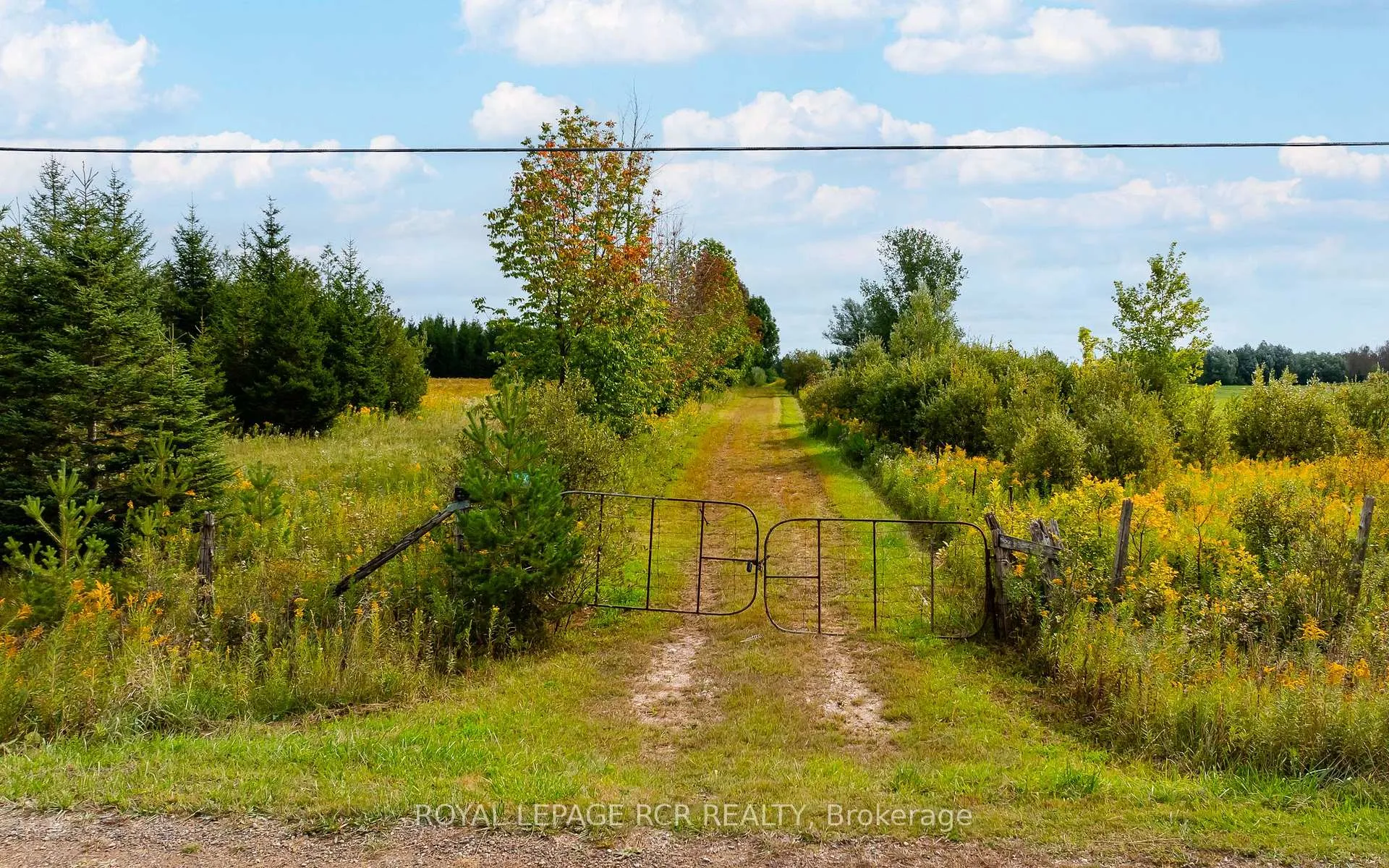 Photo 31 of 335093 7th Line, Amaranth, Rural Amaranth — HOMEH