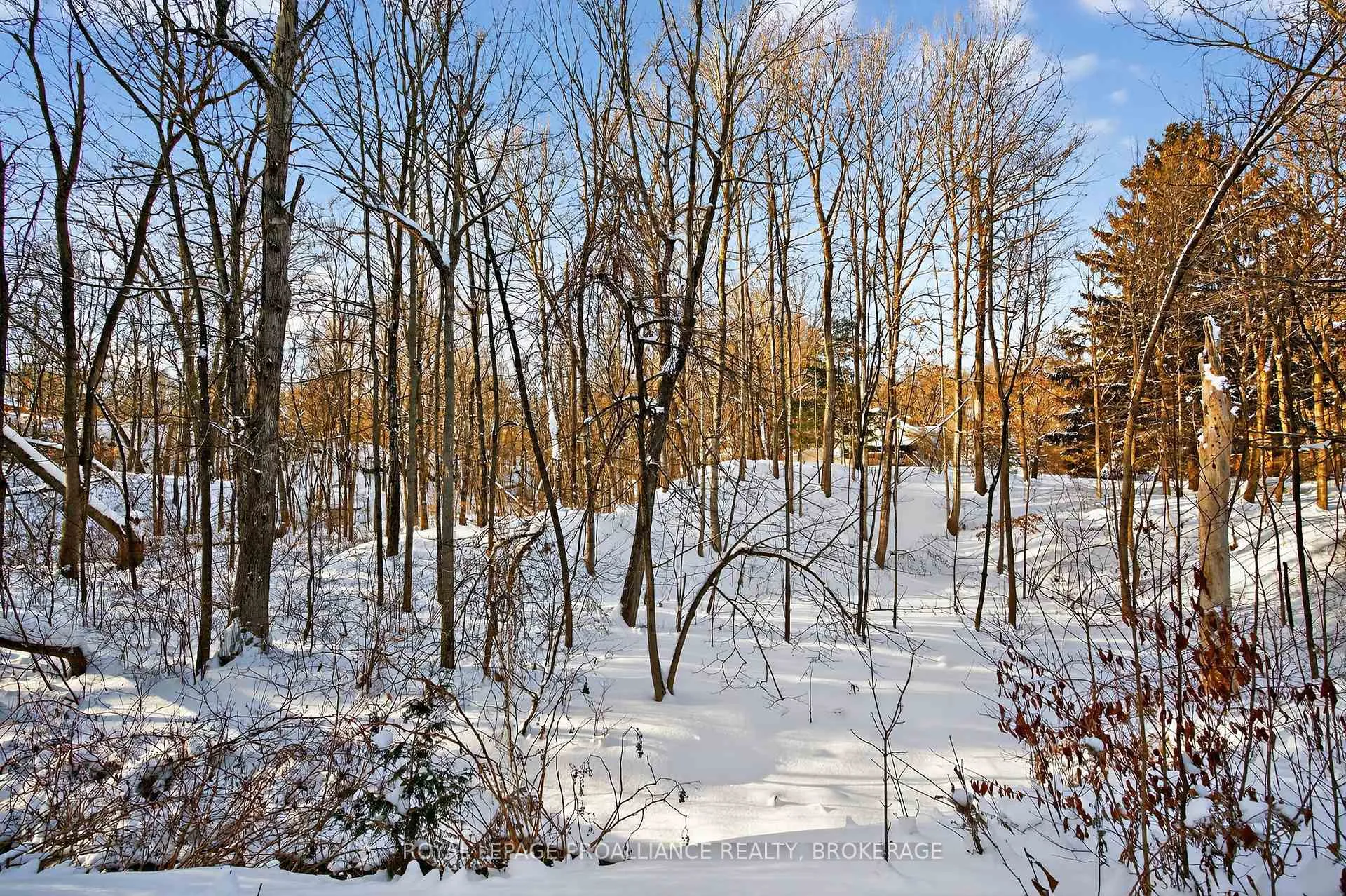 Photo 46 of 3961 Waterfall Lane, Frontenac, Frontenac South — HOMEH