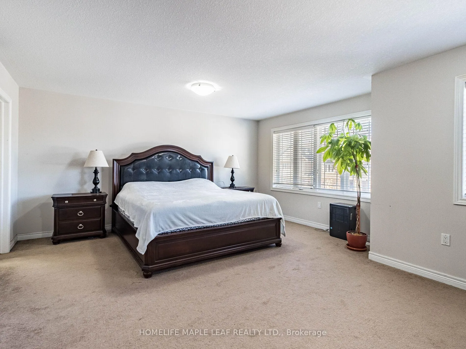 Photo 20 of 87 Celestial Crescent, Hamilton, Rural Glanbrook — HOMEH