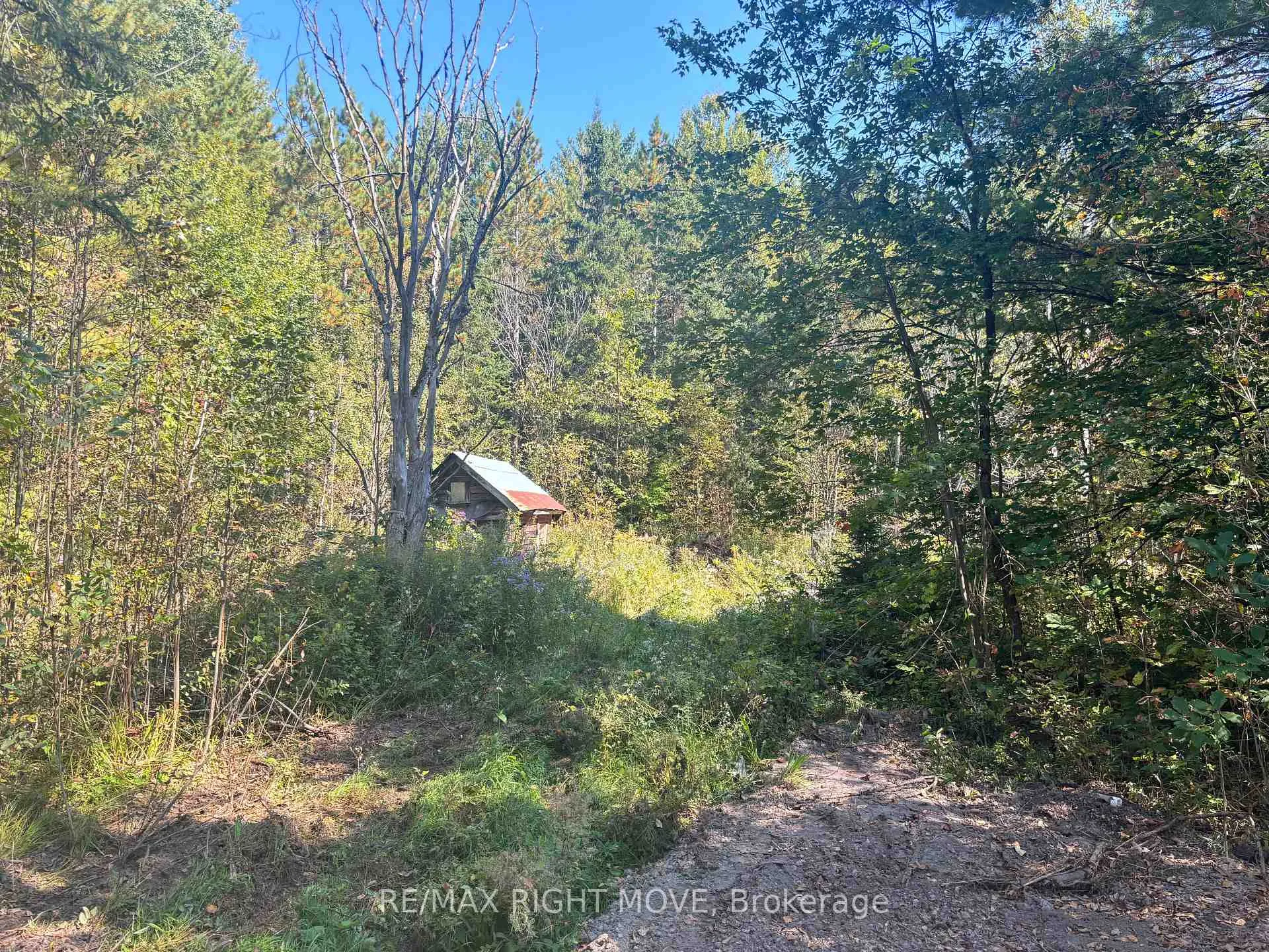 Photo 11 of 1581 Balkwill Line, Severn, Rural Severn — HOMEH