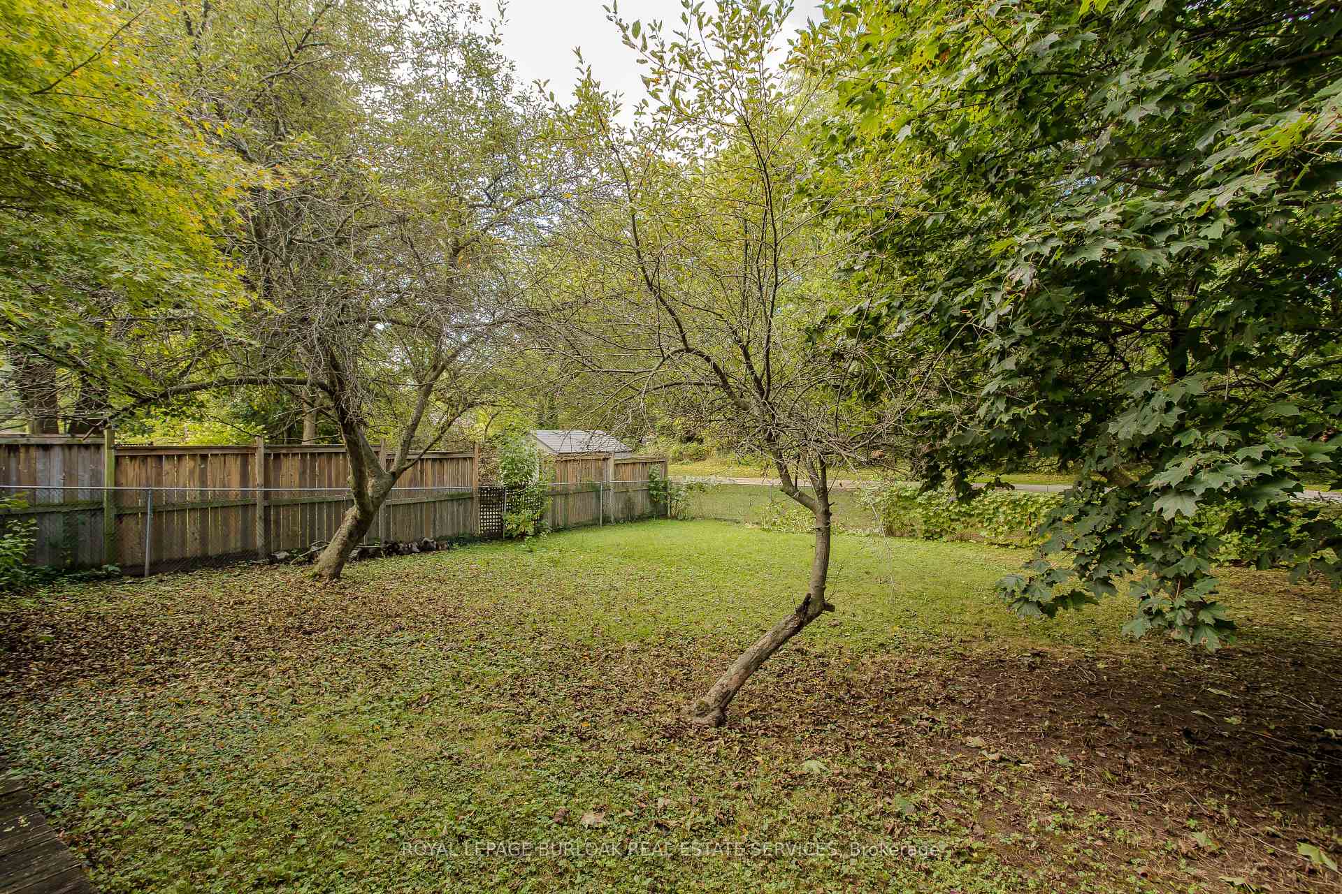 Photo 6 of 702 Francis Road, Burlington, LaSalle — HOMEH