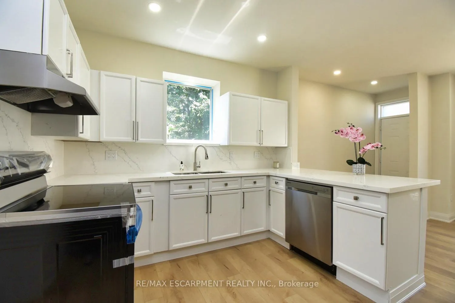 Photo 11 of 126 Evans Street, Hamilton, Landsdale — HOMEH