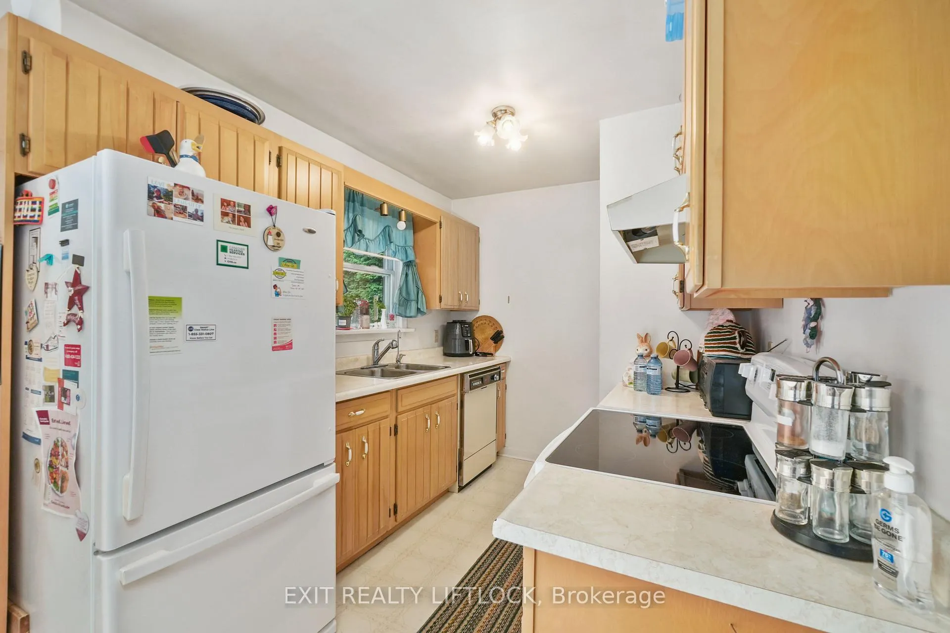 Photo 10 of 83 Alice Street, Brighton — HOMEH