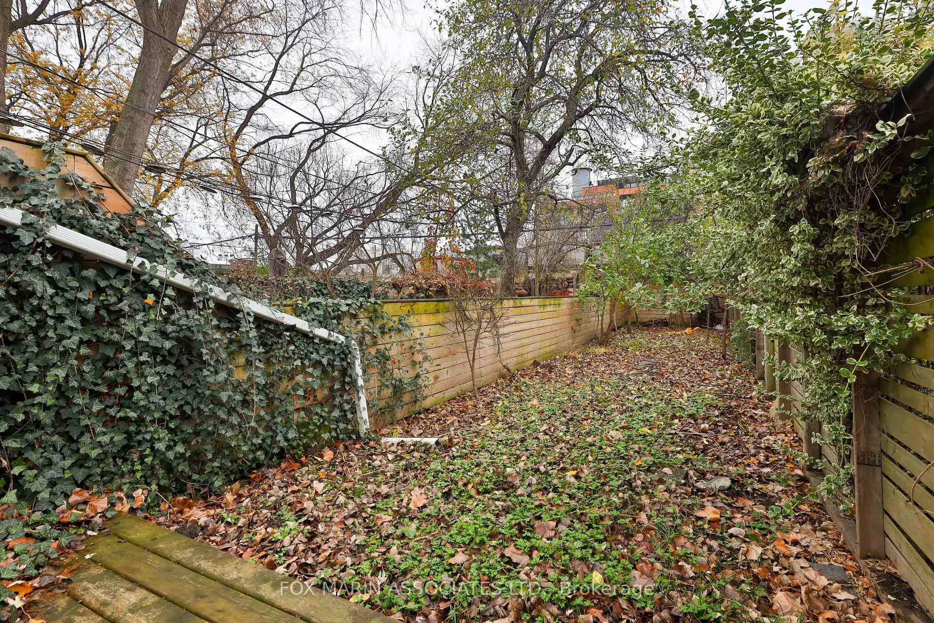 Photo 38 of 46 Lewis Street, Toronto, South Riverdale — HOMEH