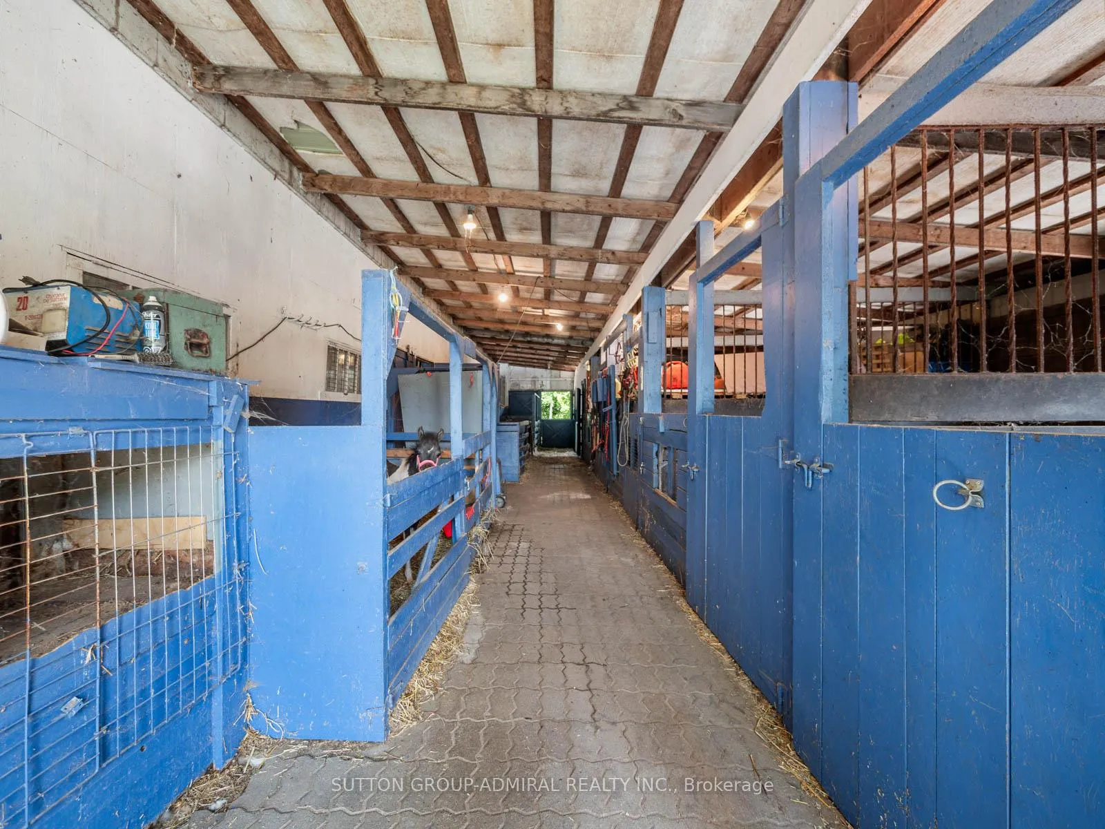 Photo 35 of 6192 5th Line, New Tecumseth, Rural New Tecumseth — HOMEH
