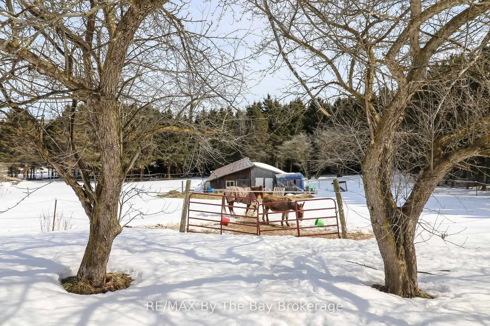 Photo 5 of 2553 County 42 Road, Clearview, Rural Clearview — HOMEH