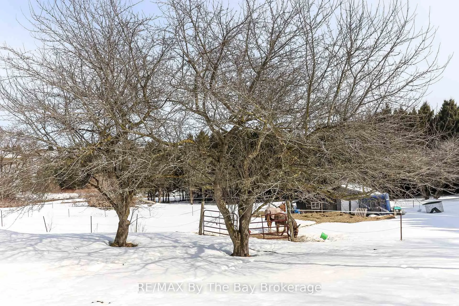 Photo 47 of 2553 County 42 Road, Clearview, Rural Clearview — HOMEH