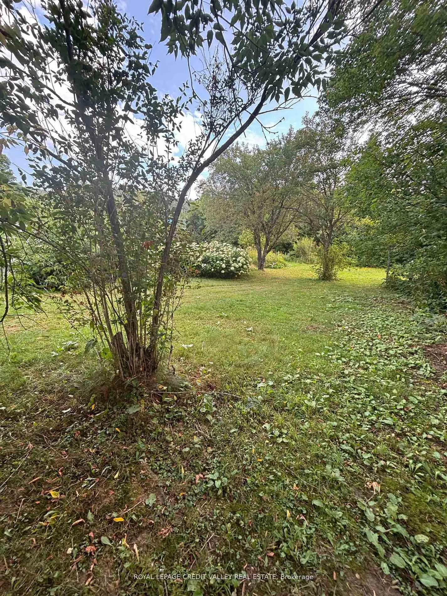 Photo 10 of 23 Alice Street, Bancroft, Bancroft Ward — HOMEH