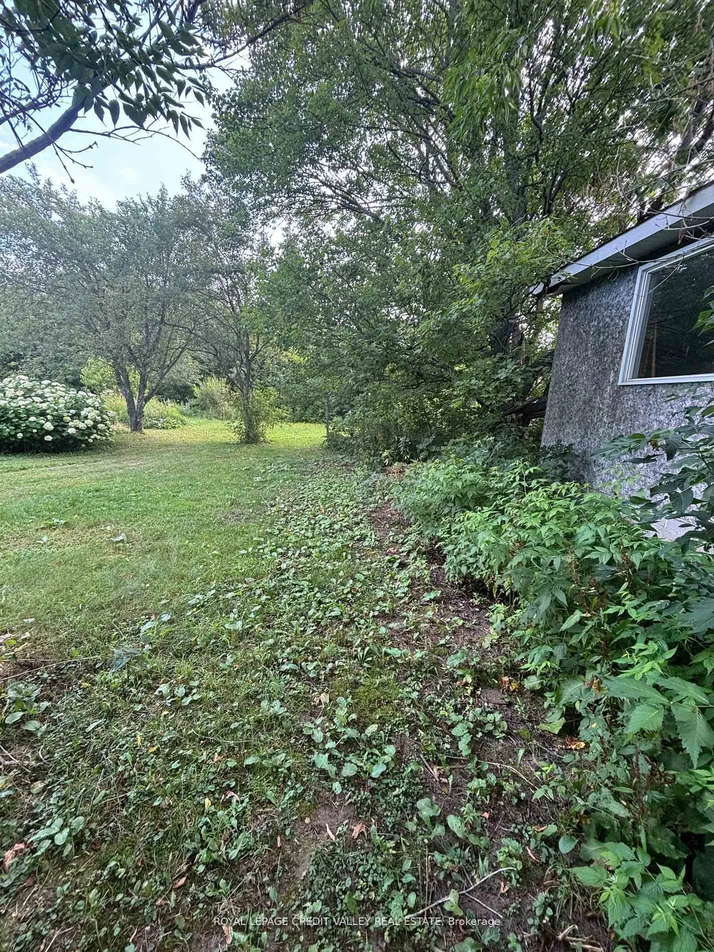Photo 11 of 23 Alice Street, Bancroft, Bancroft Ward — HOMEH