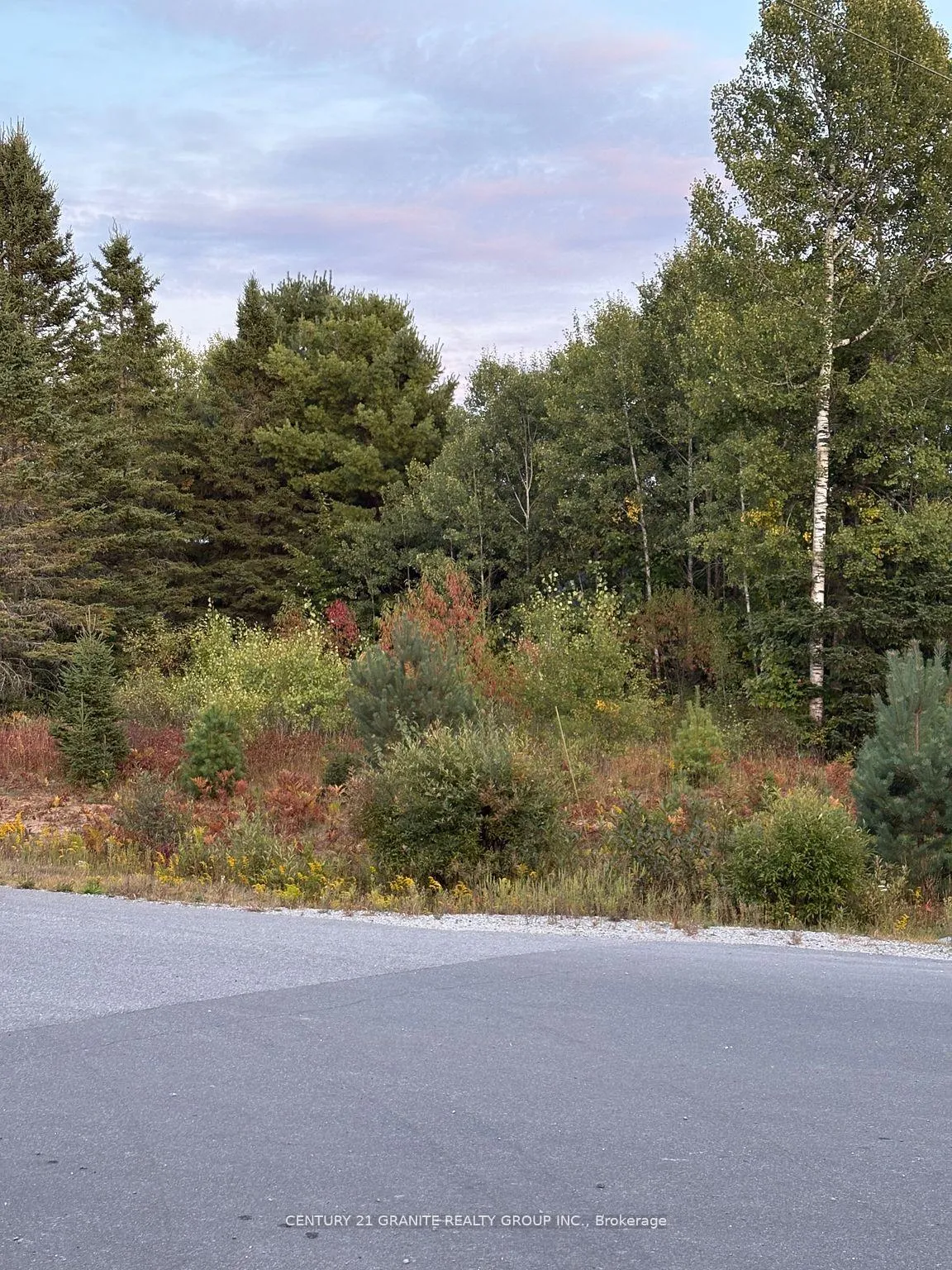Photo 5 of LT 13 Nicklaus Drive, Bancroft, Bancroft Ward — HOMEH