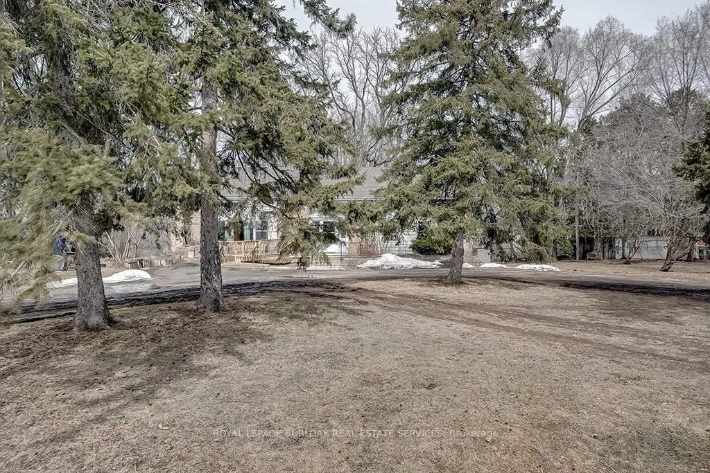Photo 4 of 50 Sanders Boulevard, Hamilton, Ainslie Wood — HOMEH