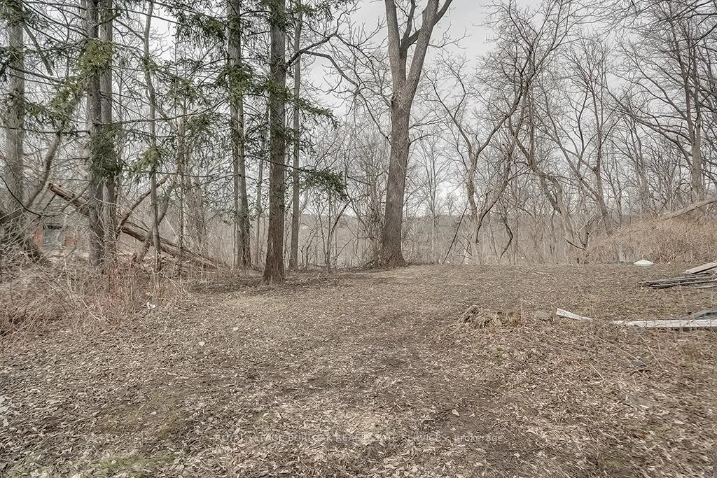 Photo 31 of 50 Sanders Boulevard, Hamilton, Ainslie Wood — HOMEH