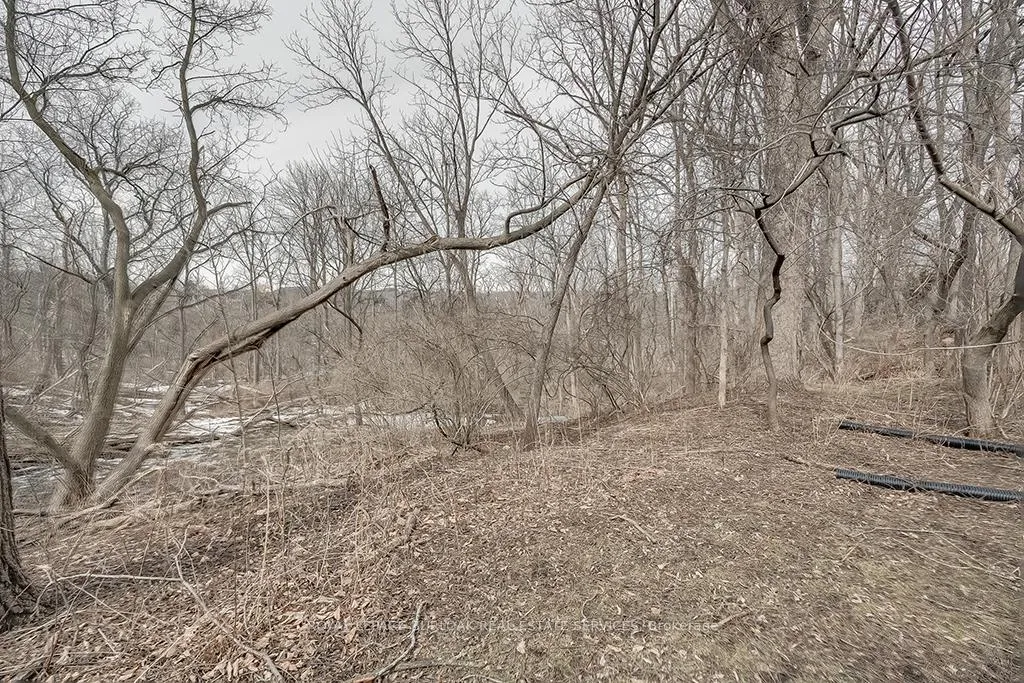 Photo 33 of 50 Sanders Boulevard, Hamilton, Ainslie Wood — HOMEH
