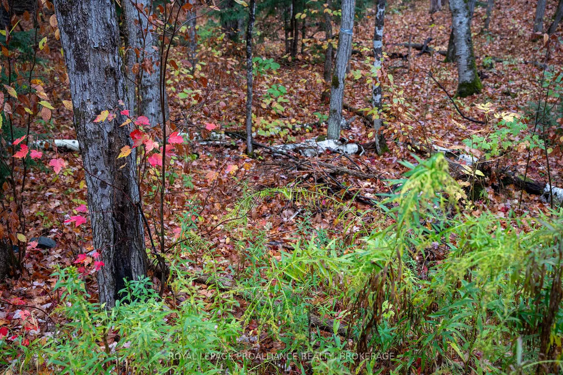 Photo 75 of 1060 Nordic Road, Frontenac, Frontenac Centre — HOMEH