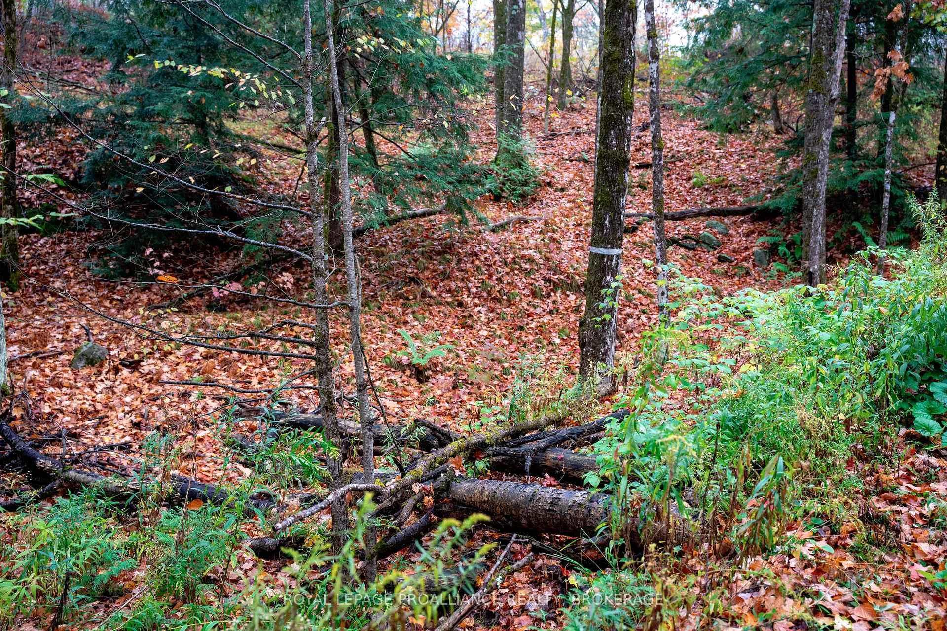 Photo 78 of 1060 Nordic Road, Frontenac, Frontenac Centre — HOMEH