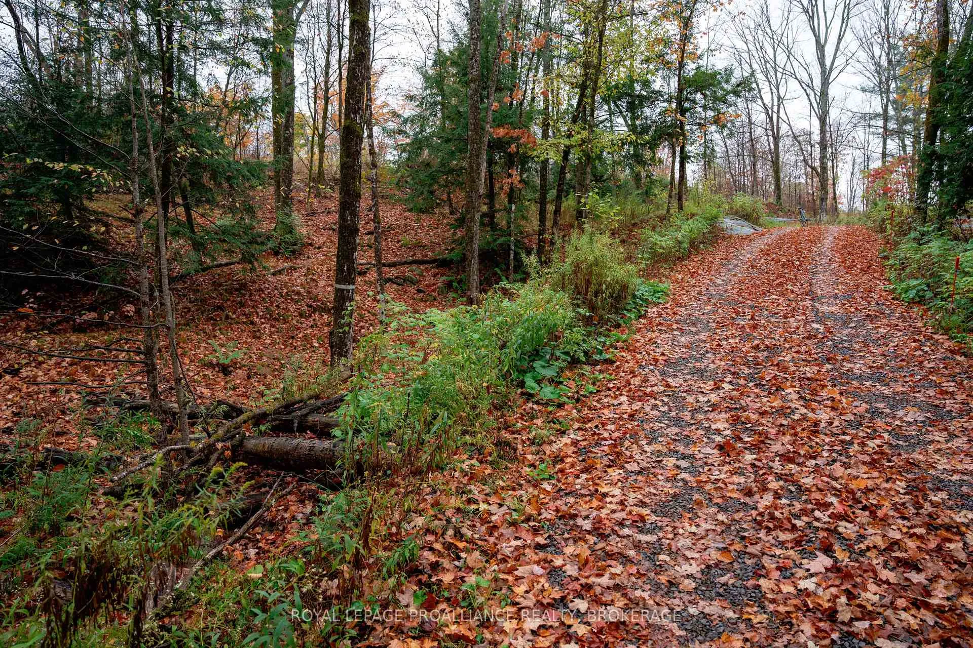 Photo 84 of 1060 Nordic Road, Frontenac, Frontenac Centre — HOMEH