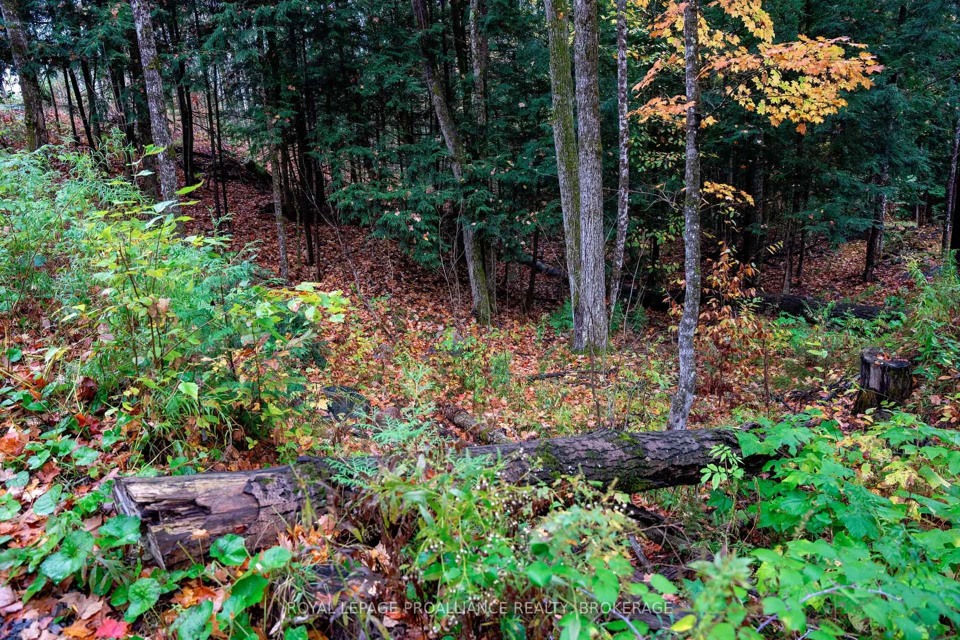 Photo 99 of 1060 Nordic Road, Frontenac, Frontenac Centre — HOMEH