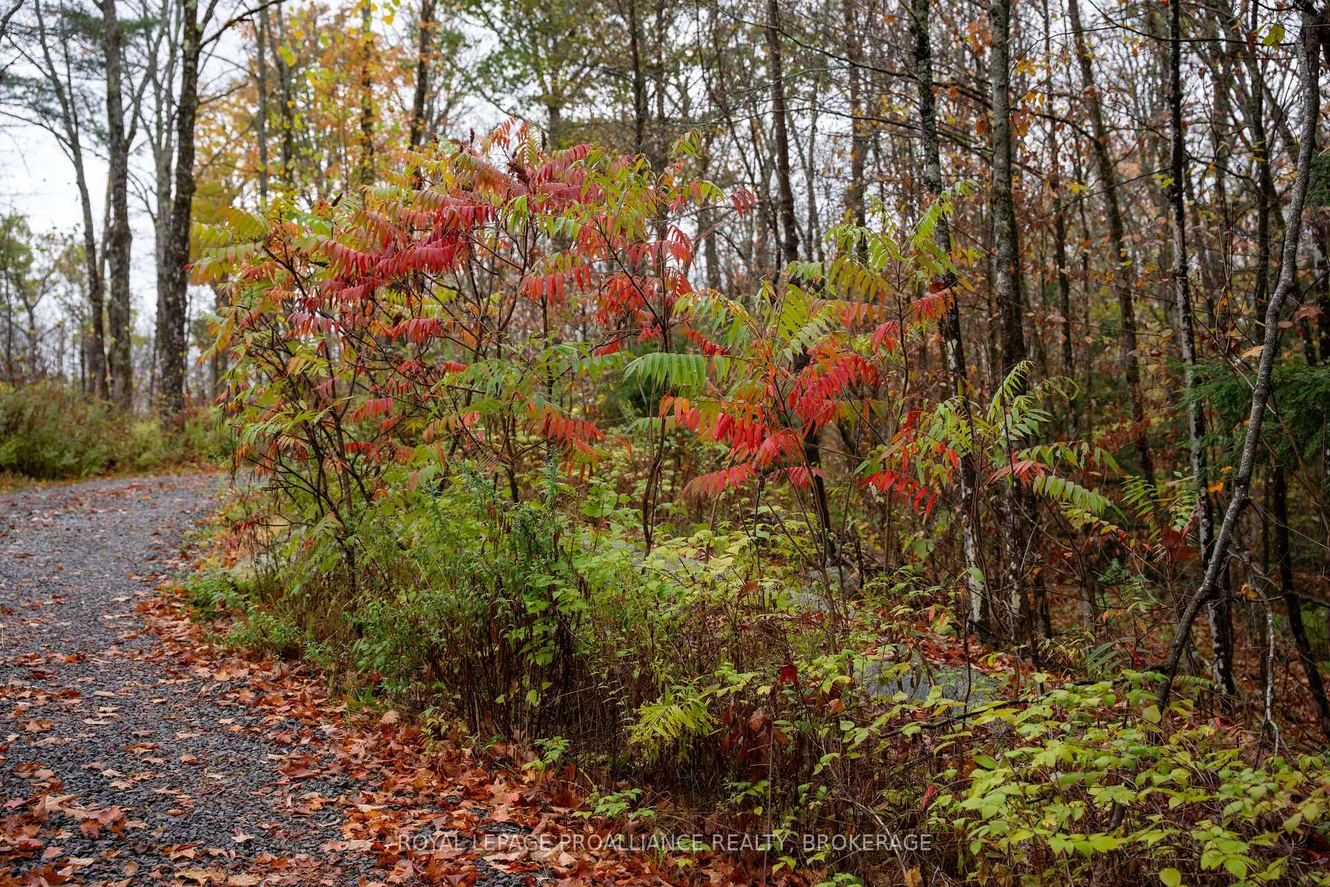 Photo 115 of 1060 Nordic Road, Frontenac, Frontenac Centre — HOMEH