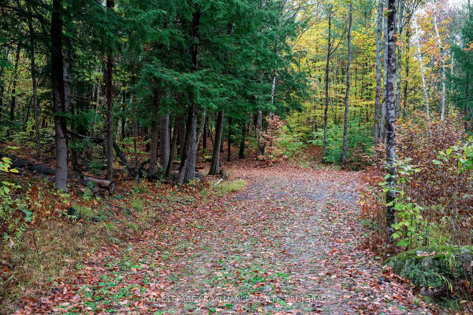Photo 261 of 1060 Nordic Road, Frontenac, Frontenac Centre — HOMEH