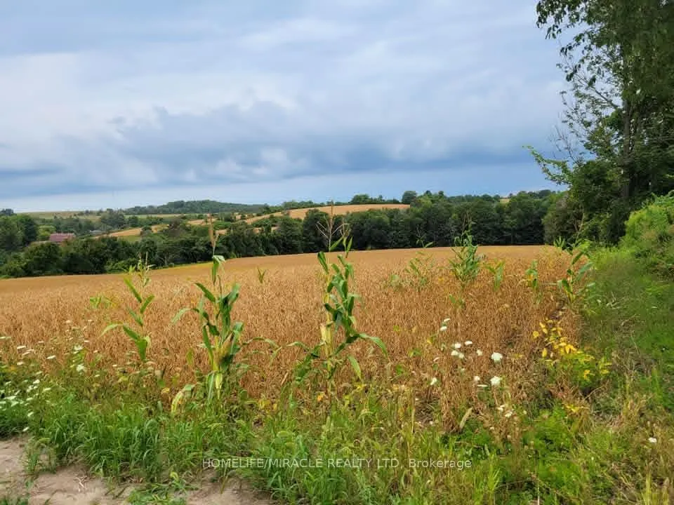 Photo 4 of 979 County Rd 30 W, Brighton, Rural Brighton — HOMEH