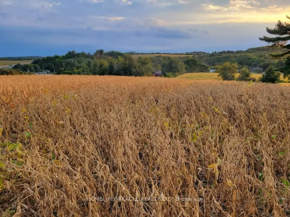 Photo 6 of 979 County Rd 30 W, Brighton, Rural Brighton — HOMEH
