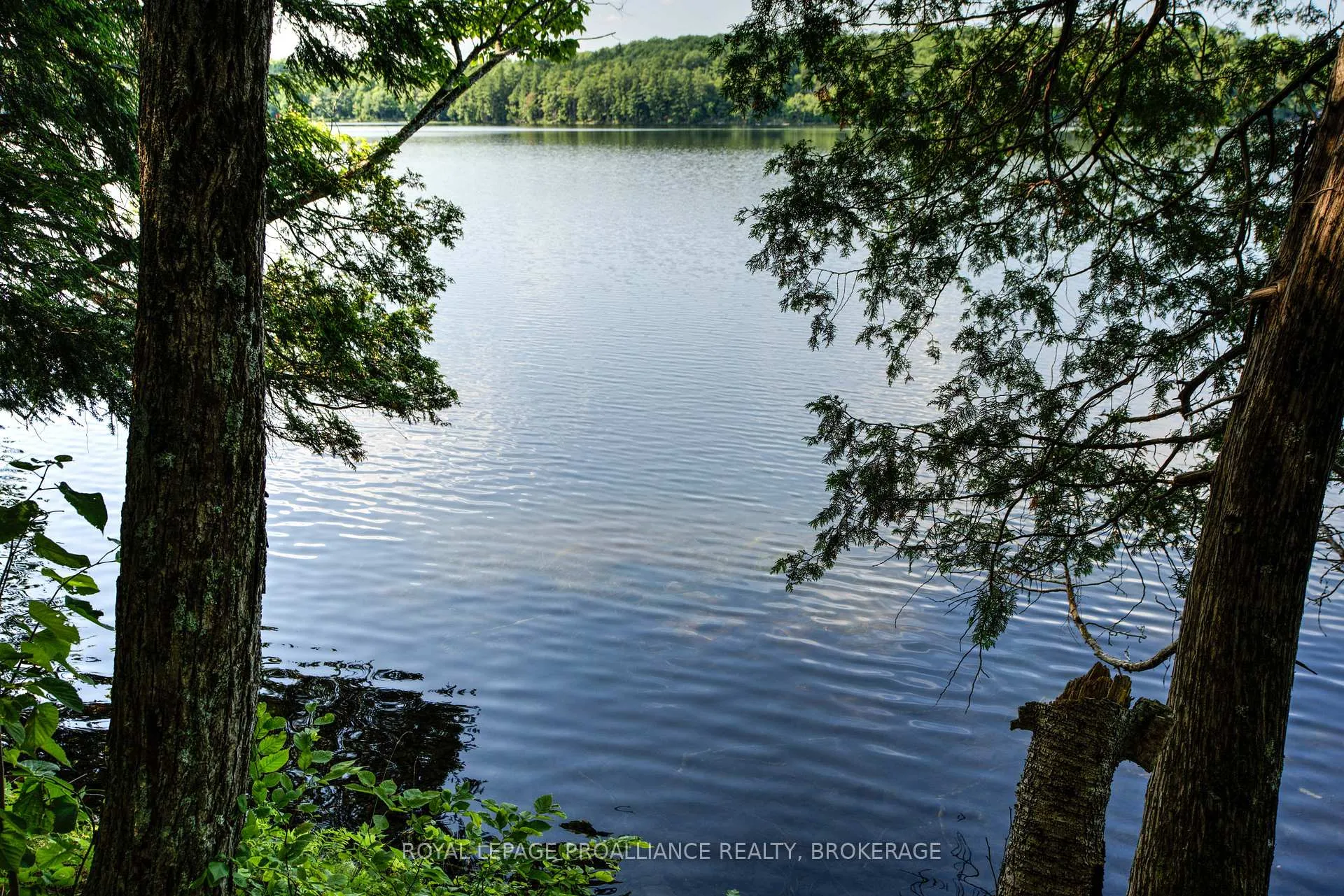Photo 50 of 142 Paddy's Lane, Rideau Lakes, Rideau Lakes (North Crosby) Twp — HOMEH