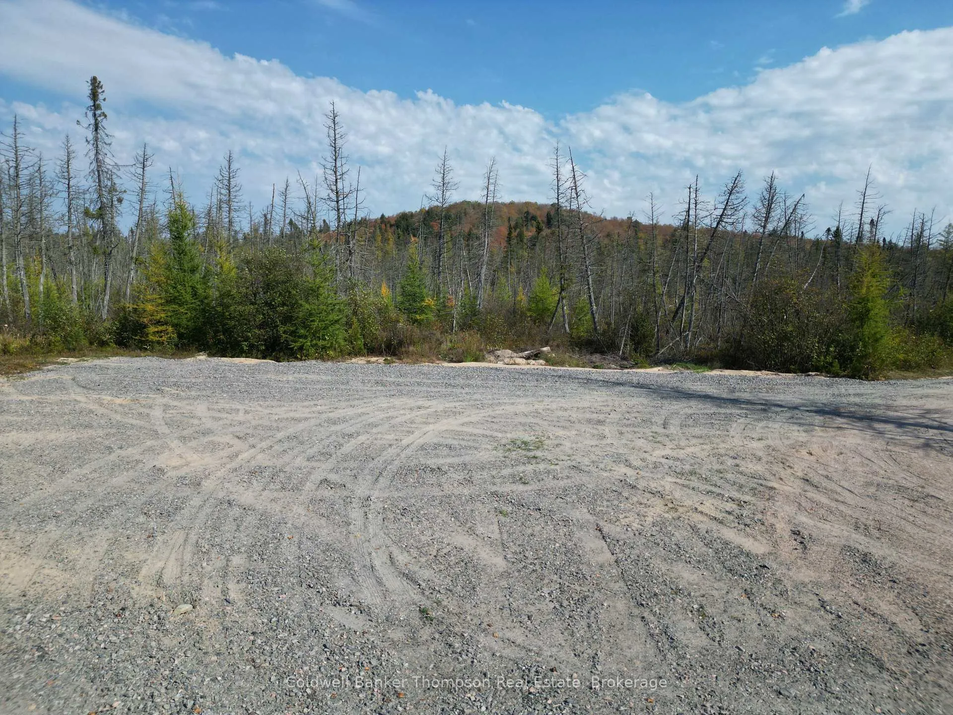 Photo 9 of 809-865 Spring Hill Road W, Ryerson — HOMEH