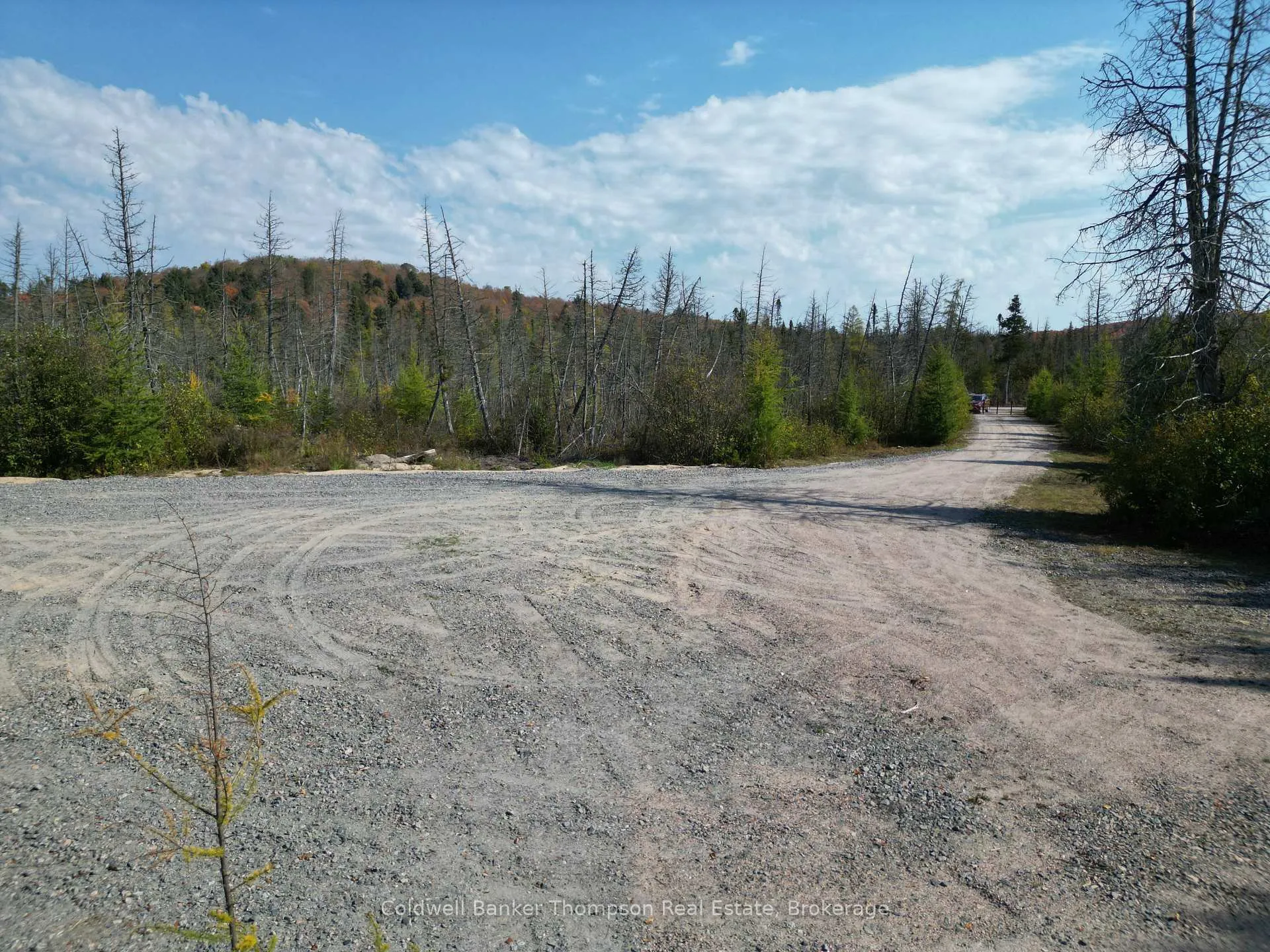 Photo 10 of 809-865 Spring Hill Road W, Ryerson — HOMEH
