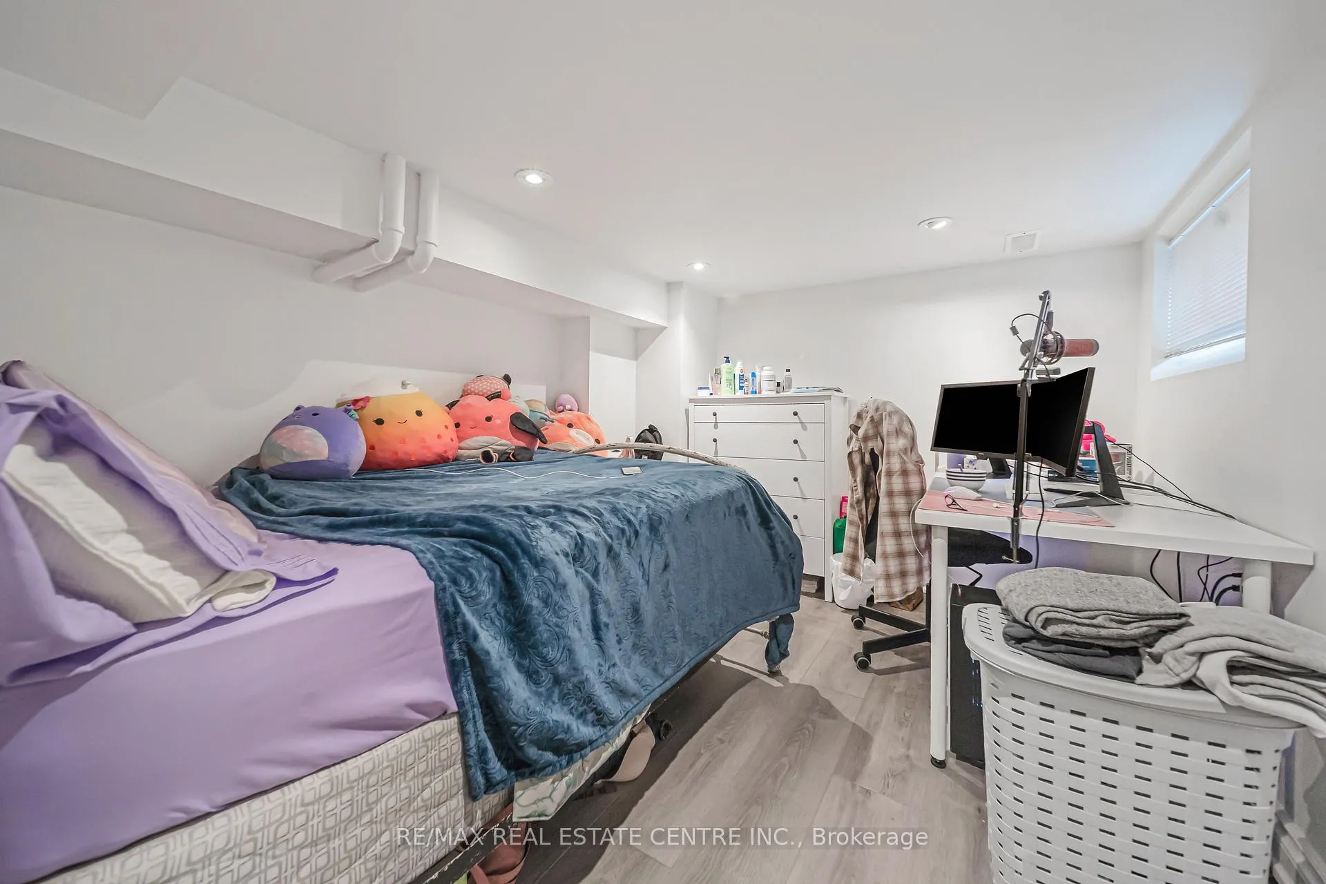 Photo 19 of 49 Hillview Street, Hamilton, Ainslie Wood — HOMEH