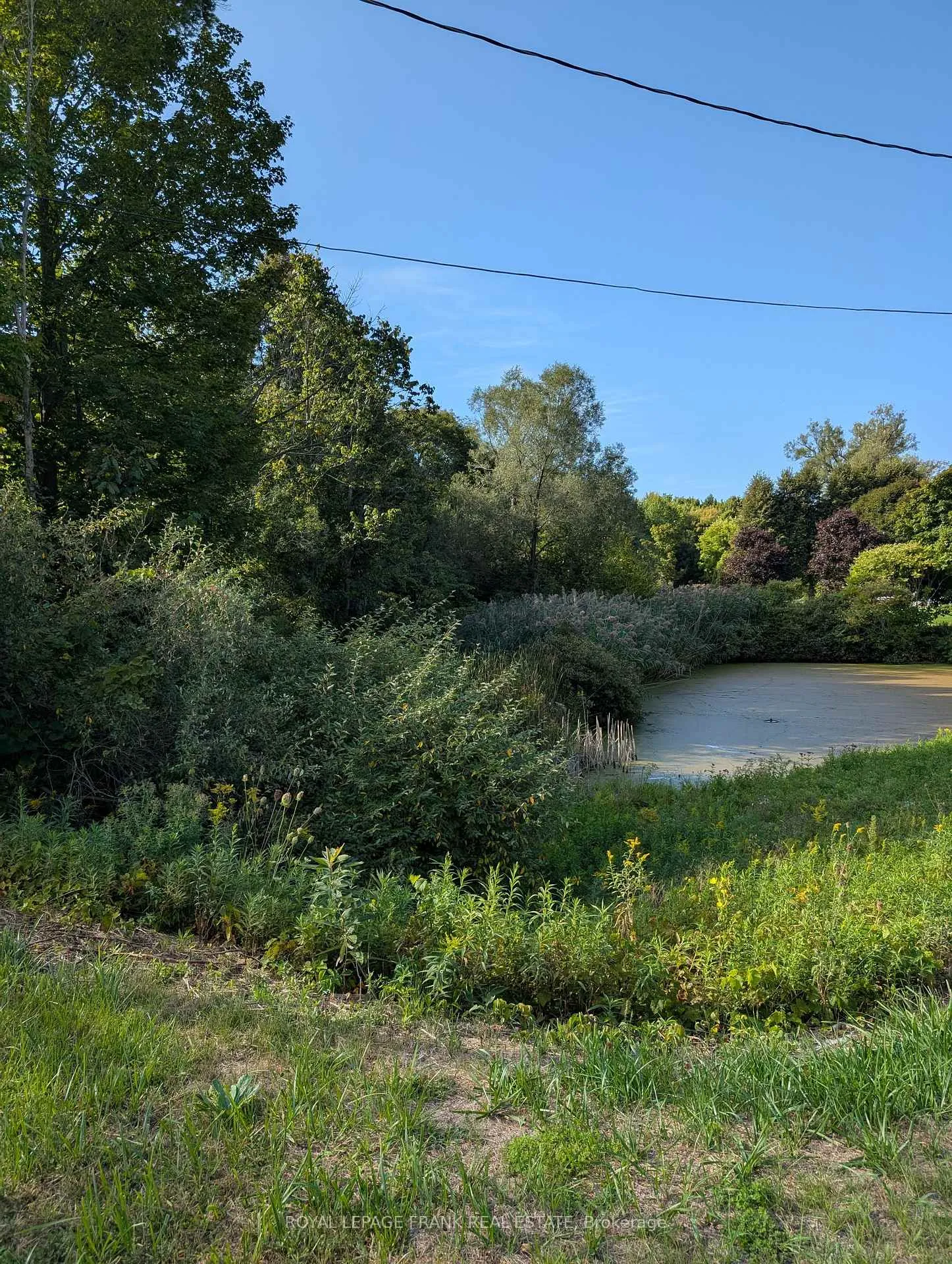 Photo 170 of Unit Basement, 8537 Dale Road, Hamilton Township, Rural Hamilton — HOMEH