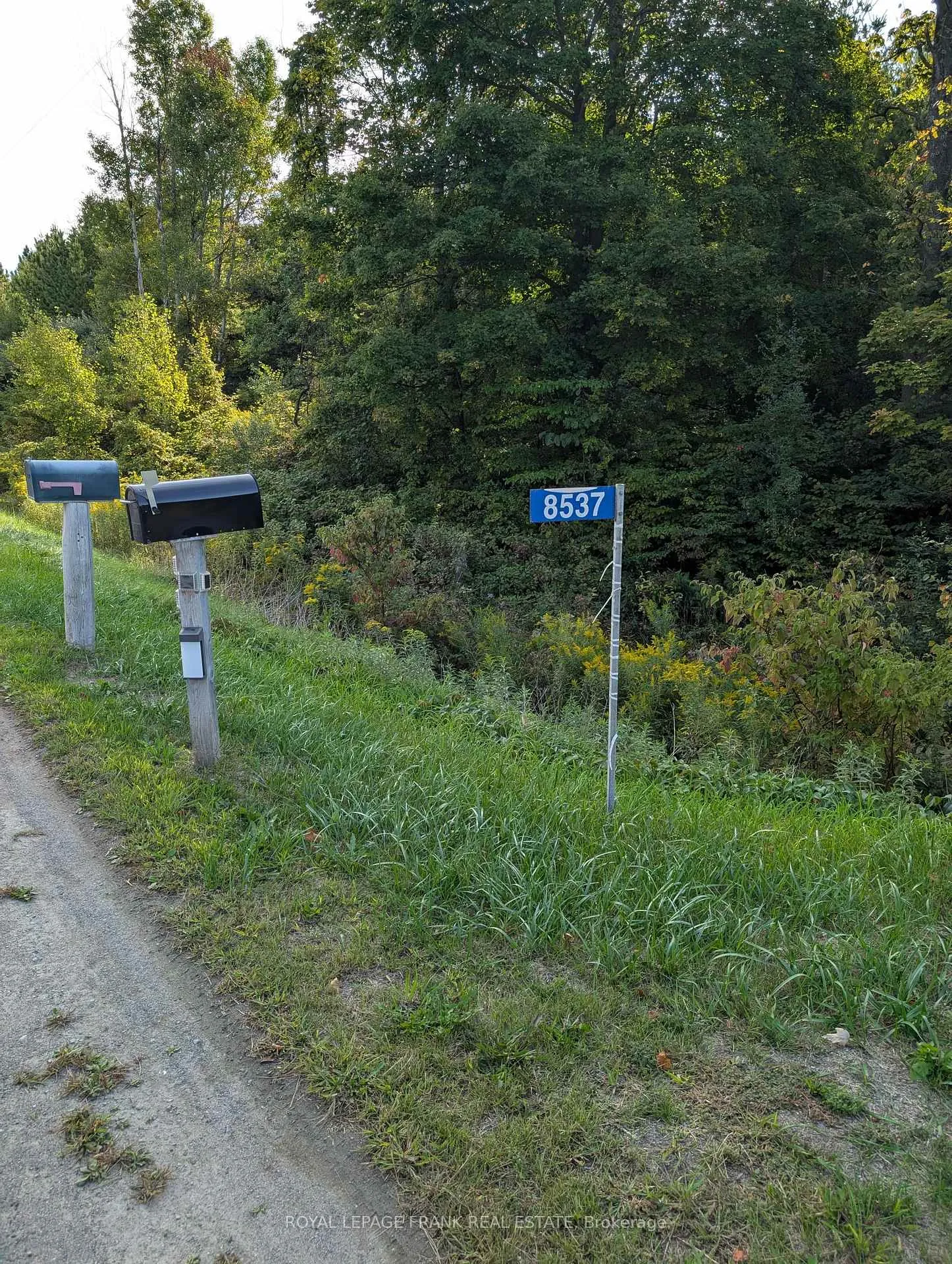 Photo 197 of Unit Basement, 8537 Dale Road, Hamilton Township, Rural Hamilton — HOMEH