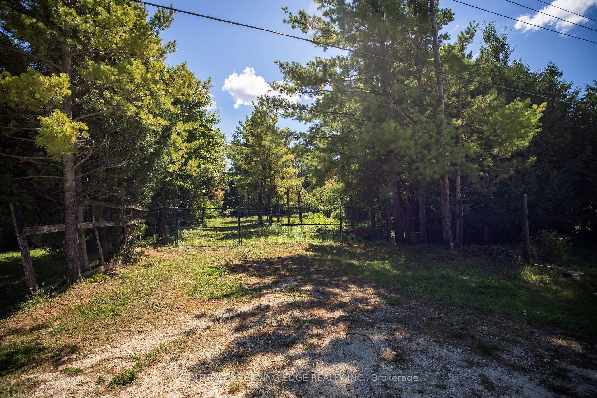 Photo 16 of 112 Alpine Crescent, Blue Mountains — HOMEH