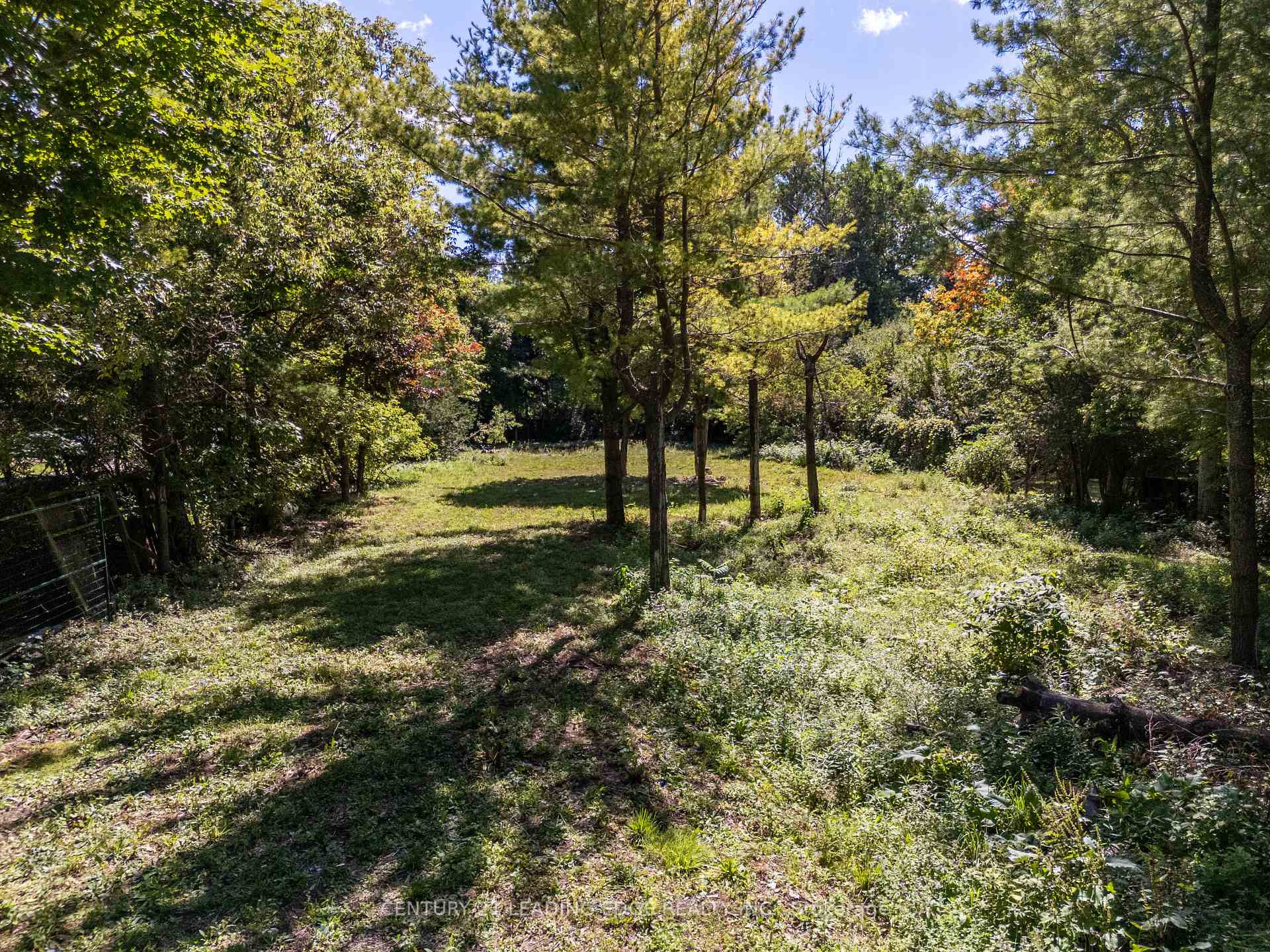 Photo 17 of 112 Alpine Crescent, Blue Mountains — HOMEH