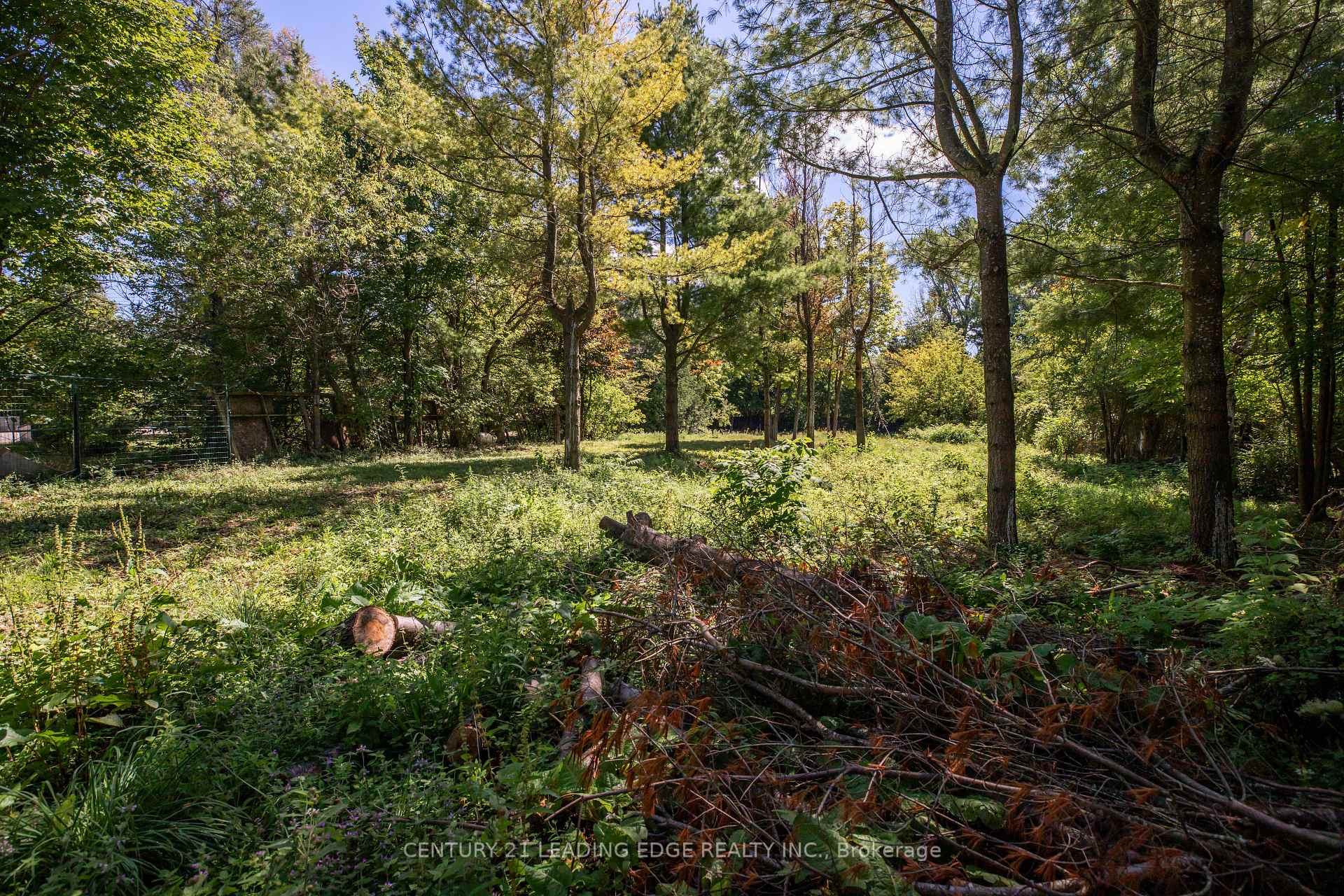 Photo 18 of 112 Alpine Crescent, Blue Mountains — HOMEH