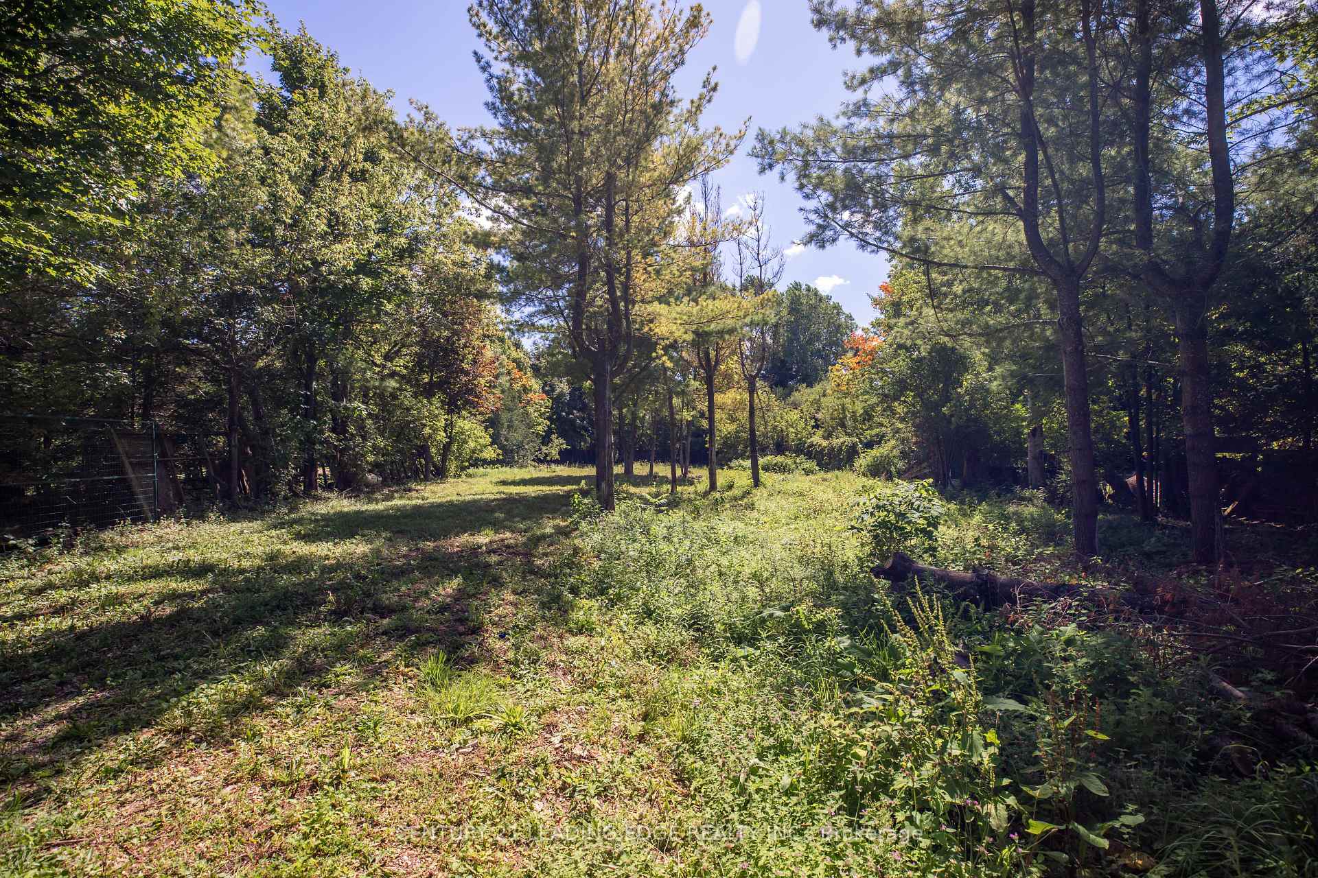 Photo 19 of 112 Alpine Crescent, Blue Mountains — HOMEH