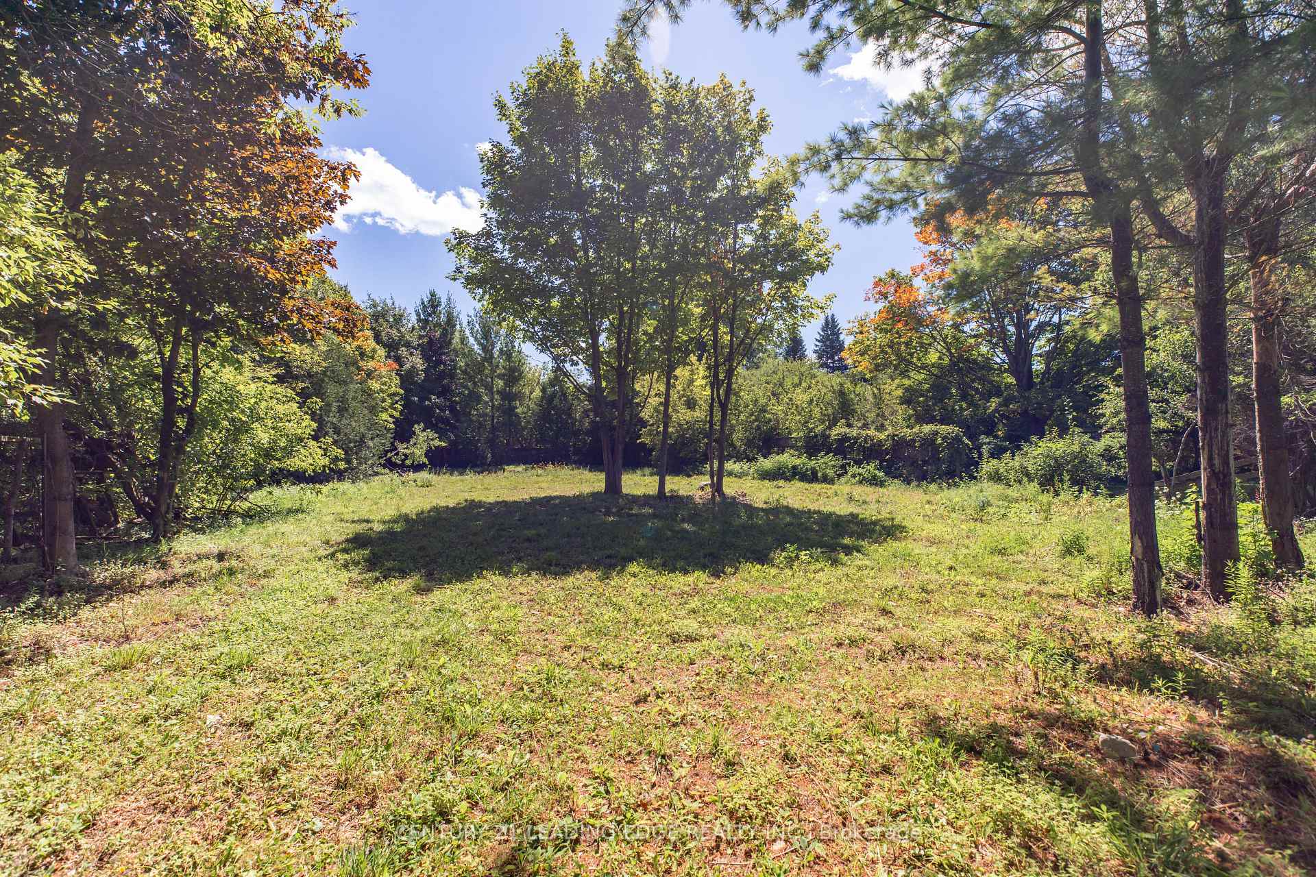 Photo 21 of 112 Alpine Crescent, Blue Mountains — HOMEH