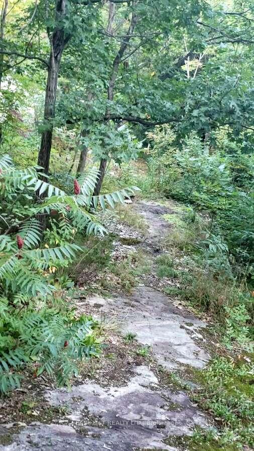 Photo 2 of Lot 137 Beech Road Allowance, Gravenhurst, Morrison — HOMEH