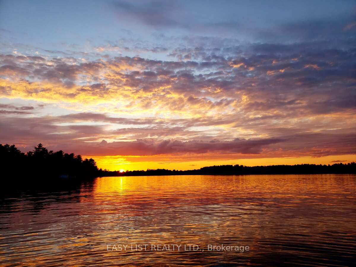 Photo 3 of Lot 137 Beech Road Allowance, Gravenhurst, Morrison — HOMEH