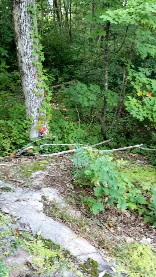Photo 8 of Lot 137 Beech Road Allowance, Gravenhurst, Morrison — HOMEH