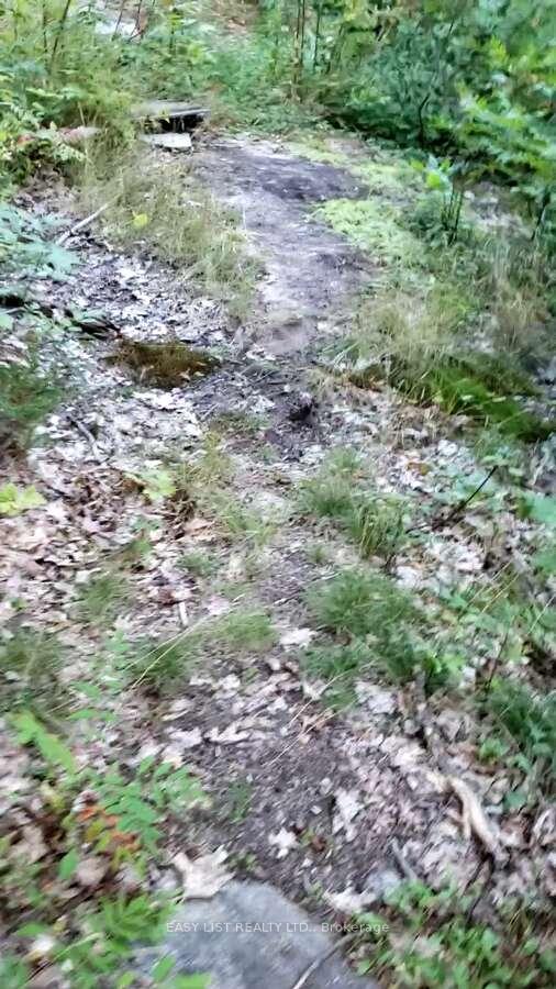 Photo 9 of Lot 137 Beech Road Allowance, Gravenhurst, Morrison — HOMEH