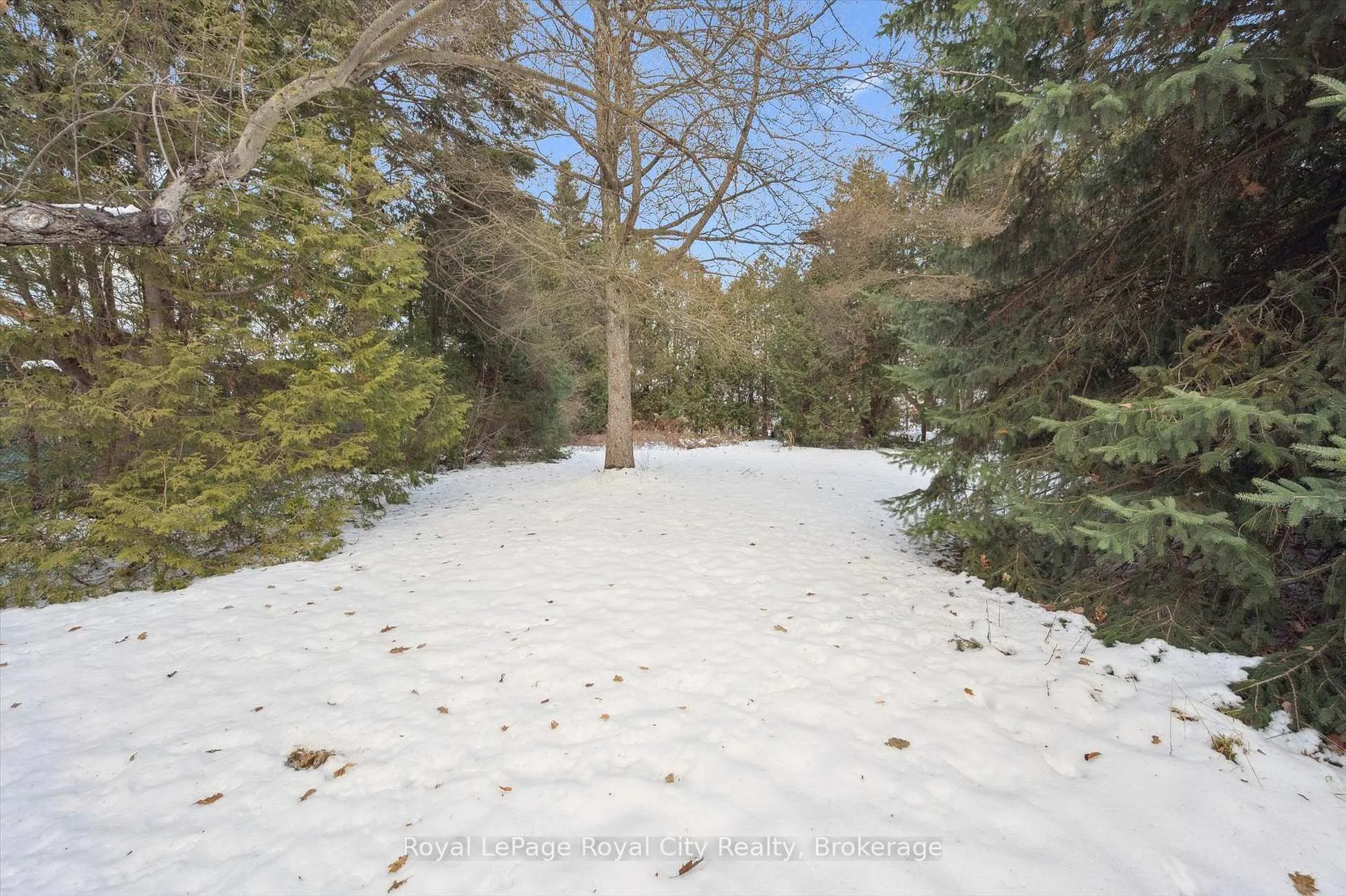 Photo 96 of 107 Westmount Road, Guelph, Exhibition Park — HOMEH