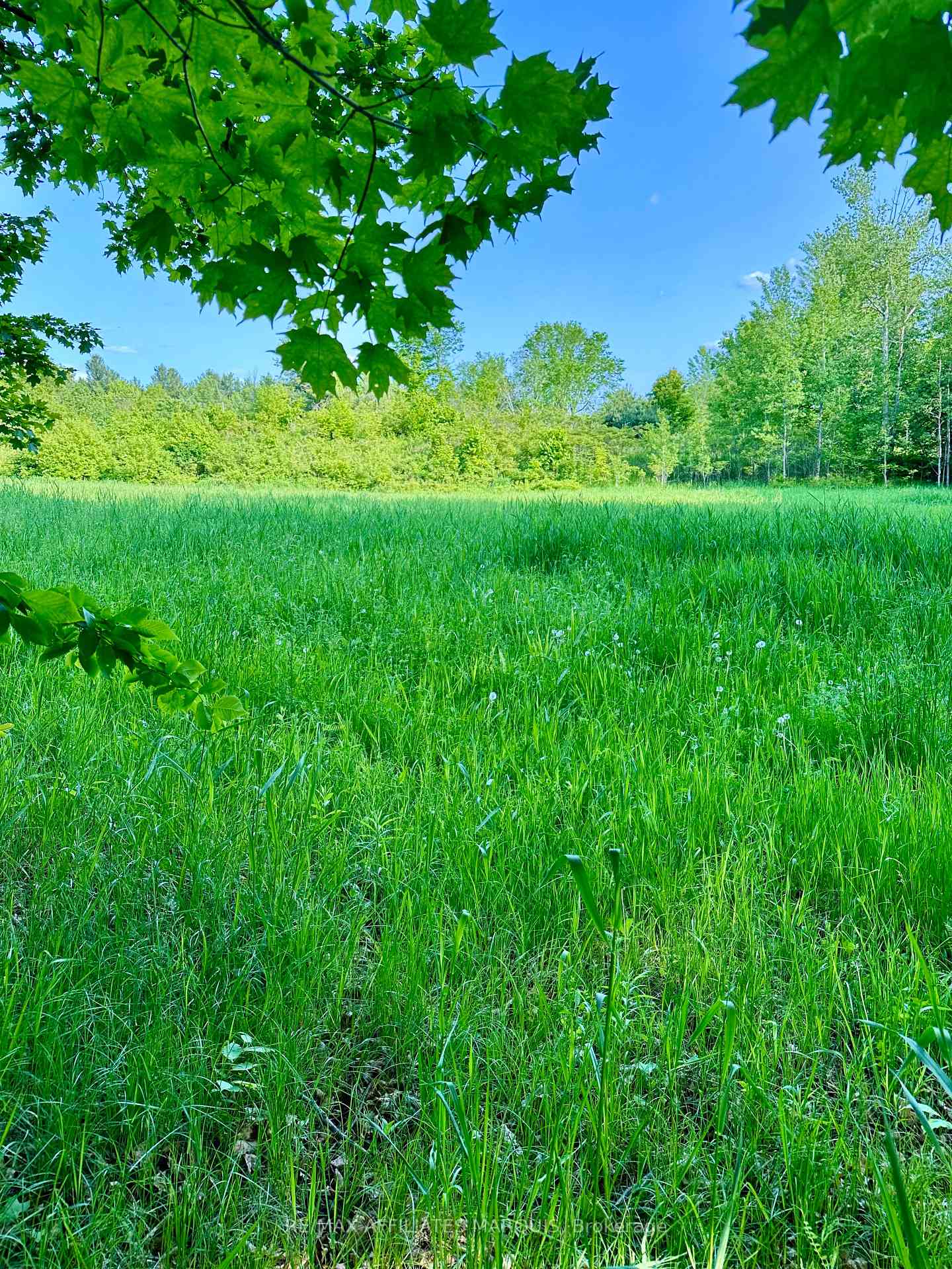 Photo 11 of 00 Long Lake Road, Frontenac, Frontenac Centre — HOMEH