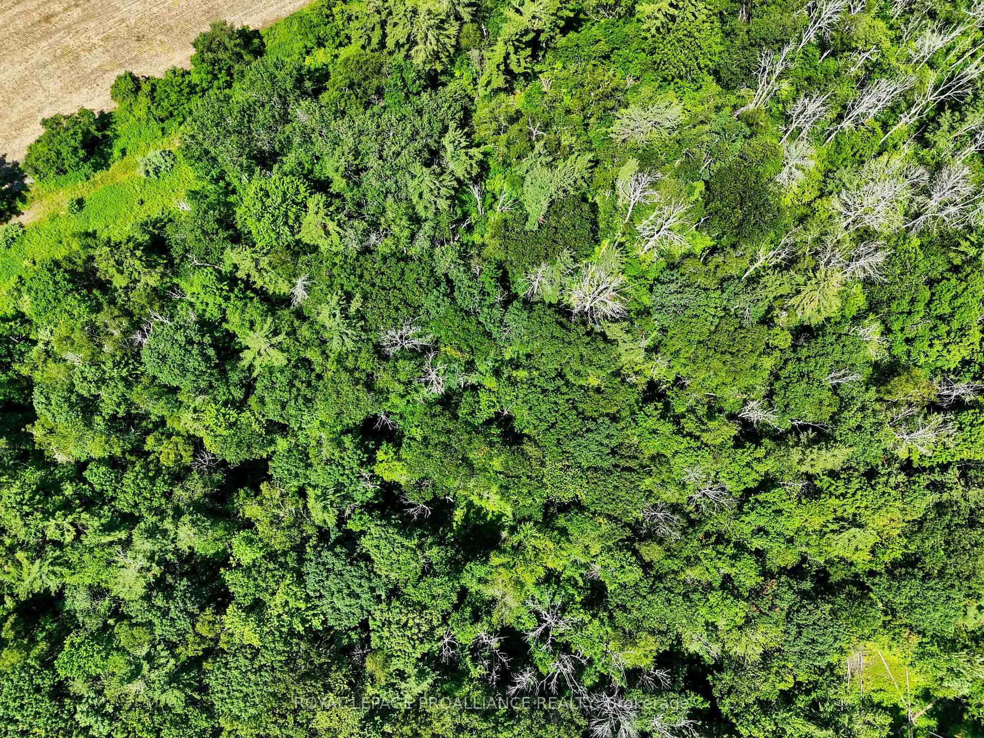 Photo 58 of 8383 Lander Road, Hamilton Township, Rural Hamilton — HOMEH