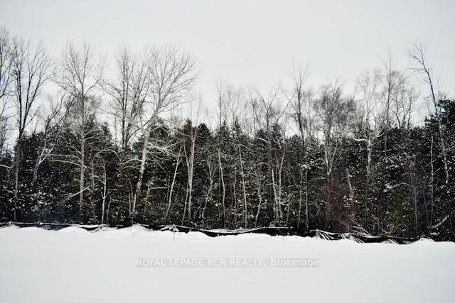 Photo 2 of 55 Shelson Place, Georgina, Sutton & Jackson's Point — HOMEH