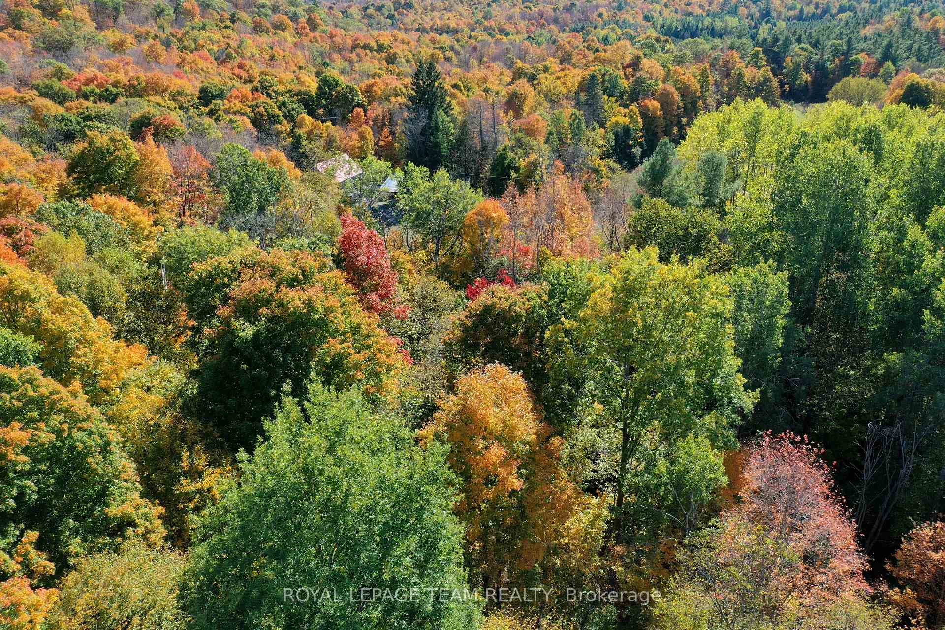 Photo 4 of 1231 Shiner Road, Frontenac, Frontenac North — HOMEH