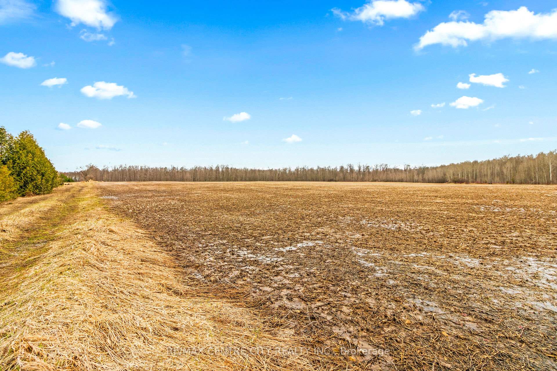 Photo 10 of 802241 Grey County 40 Road, Chatsworth — HOMEH