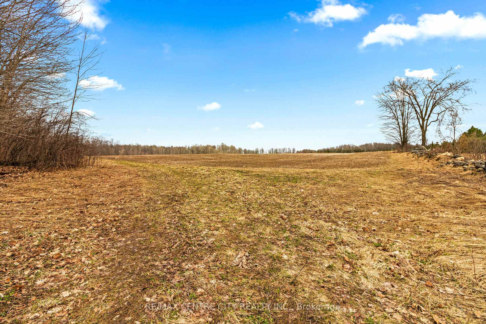 Photo 8 of 802241 Grey County 40 Road, Chatsworth — HOMEH