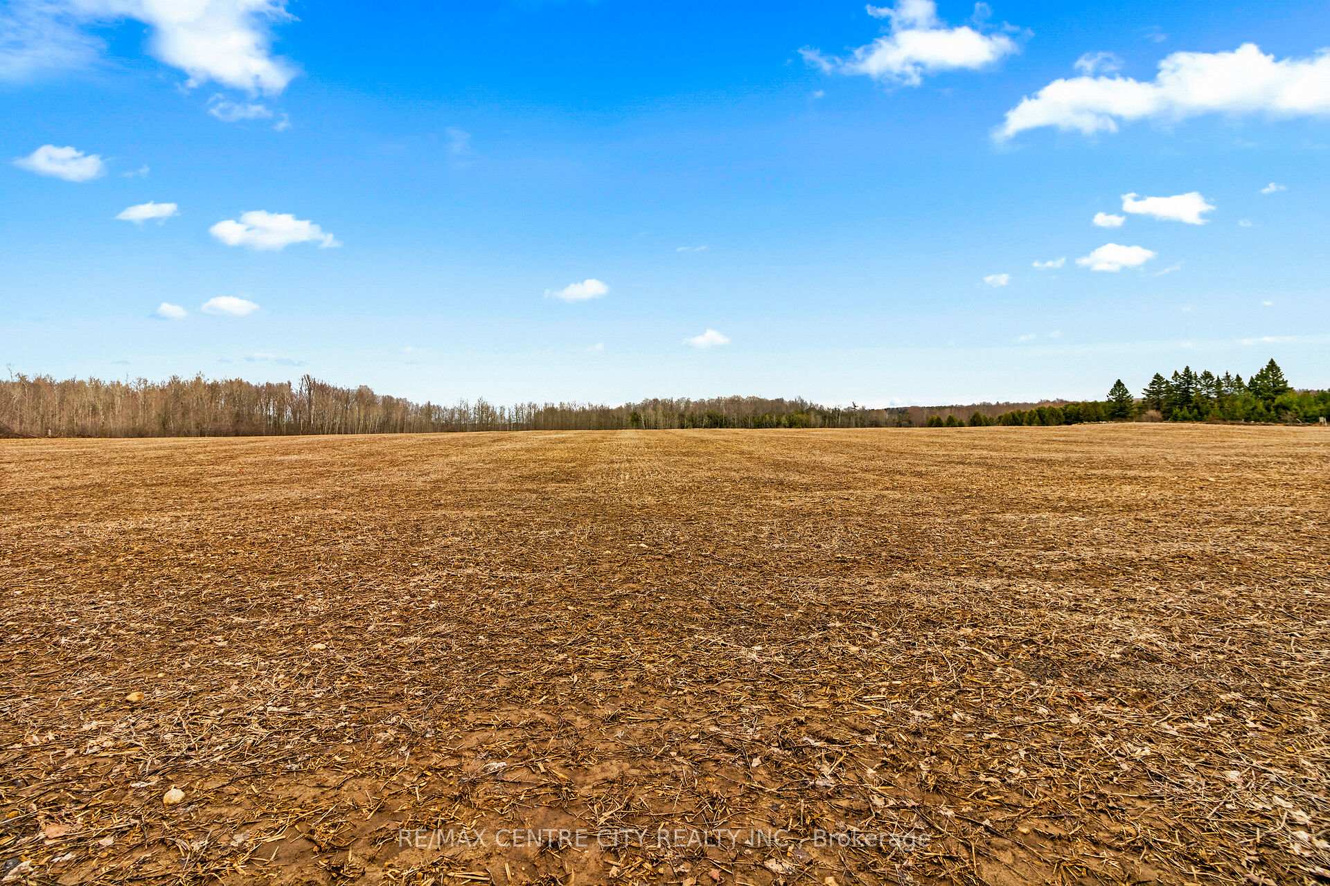 Photo 9 of 802241 Grey County 40 Road, Chatsworth — HOMEH